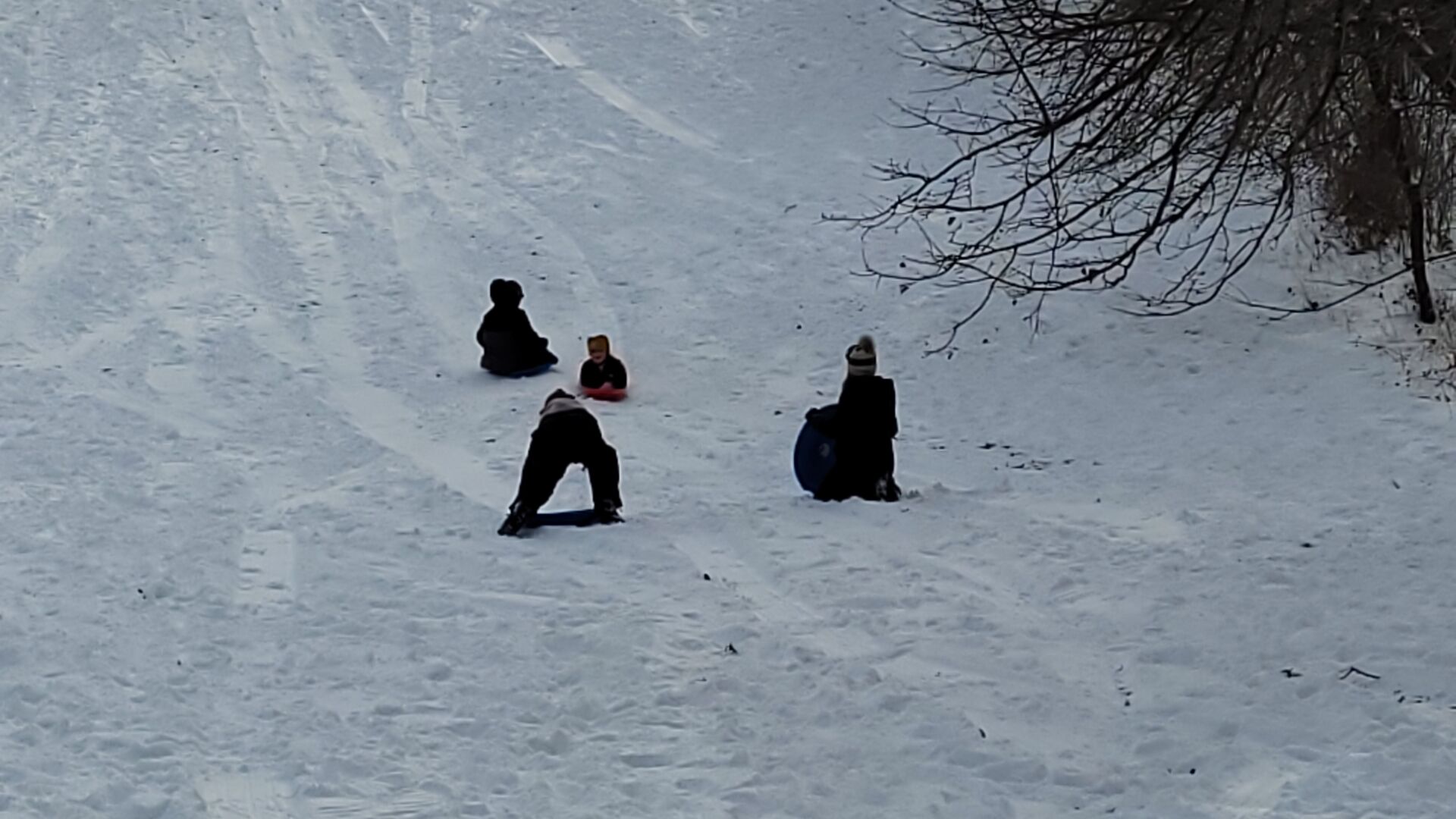20201230_131419.jpg